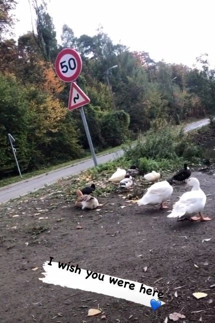 σγσδ