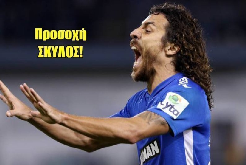 ρενασδασδαδδ