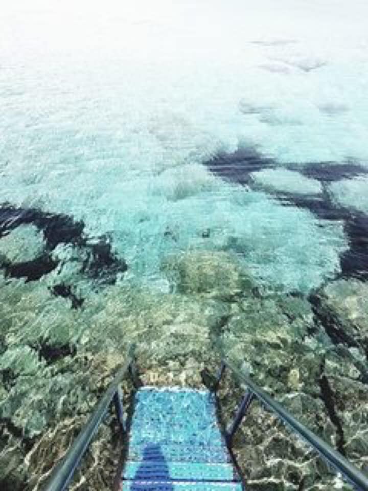 βνρτντργ