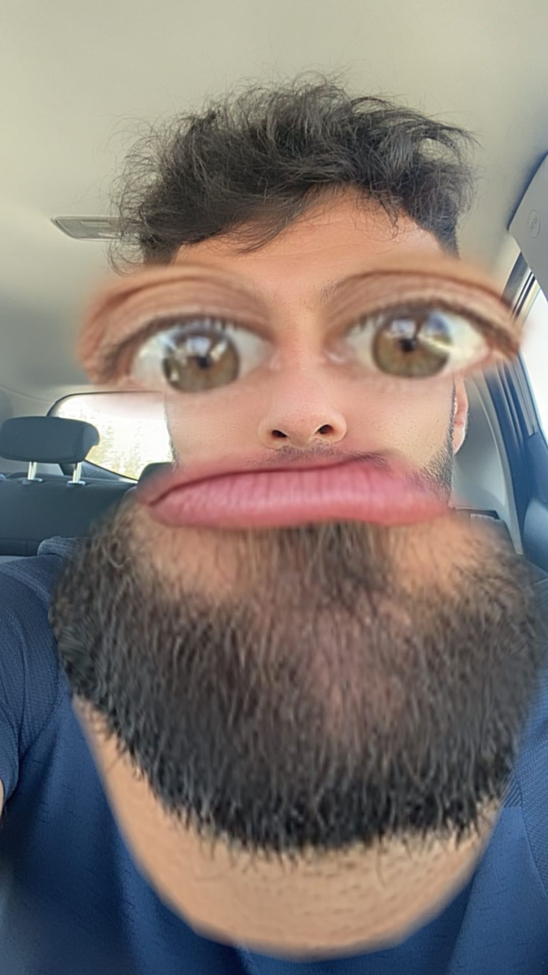 xfgbgfh