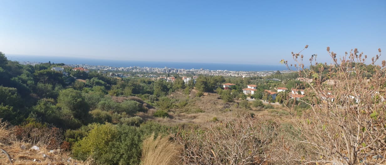 ΑΠΟΕΛ43