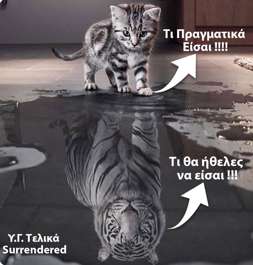 φφφ