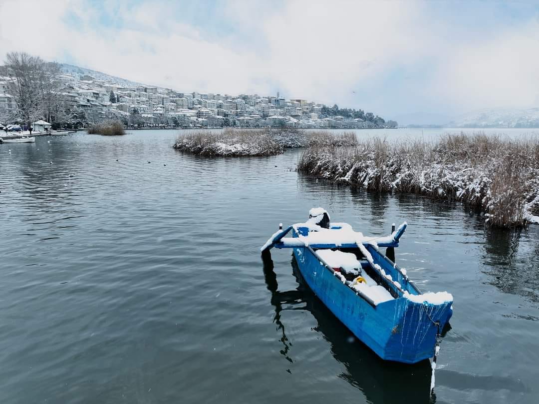 ΑΠΟΕΛ43