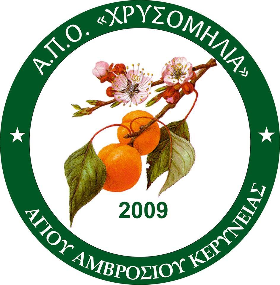 ΑΠΟΕΛ43