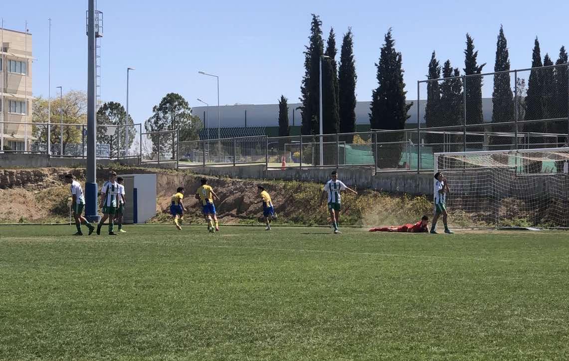ΑΠΟΕΛ43