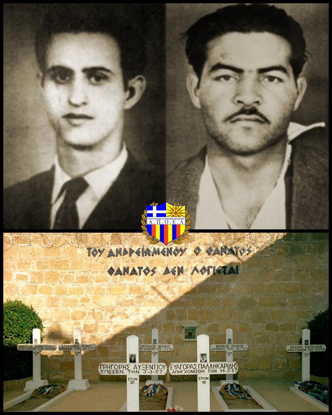 ΑΠΟΕΛ43
