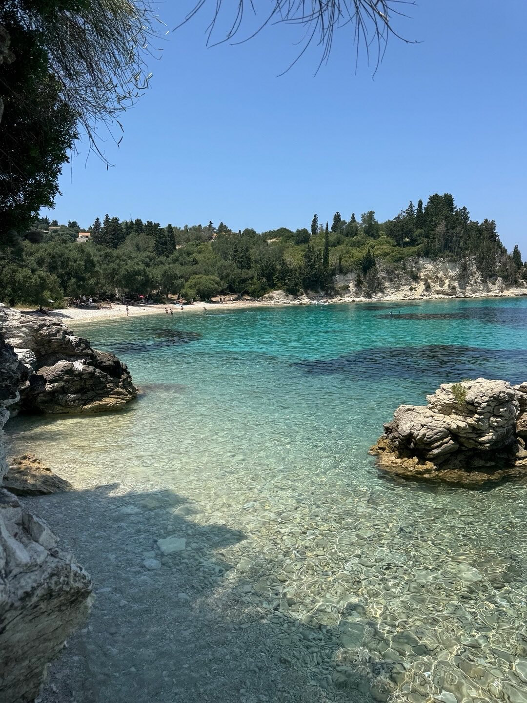 ΑΠΟΕΛ43