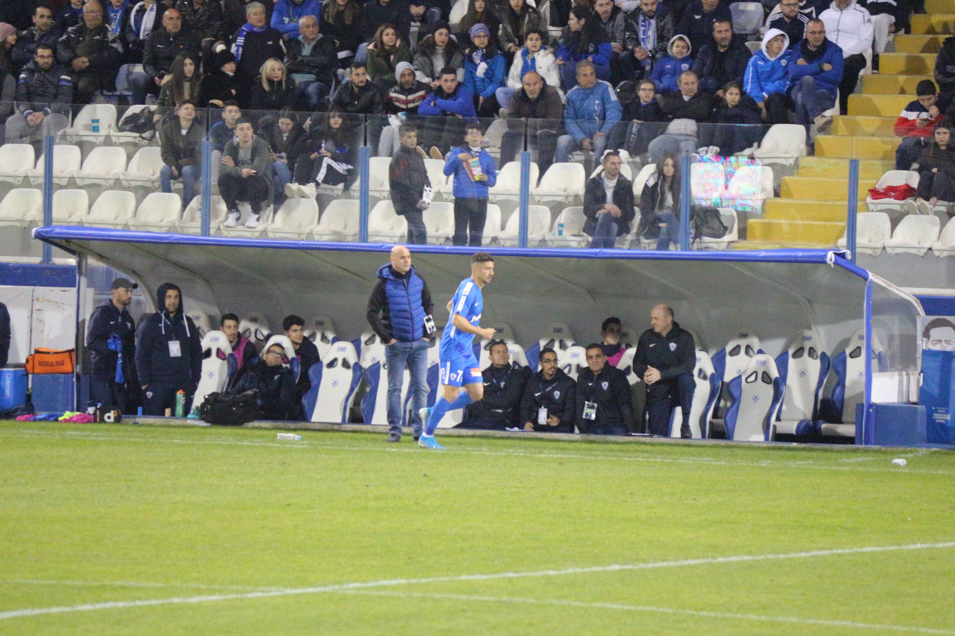 anorthosis