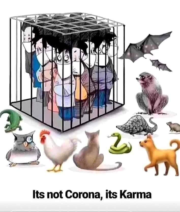 σφδ