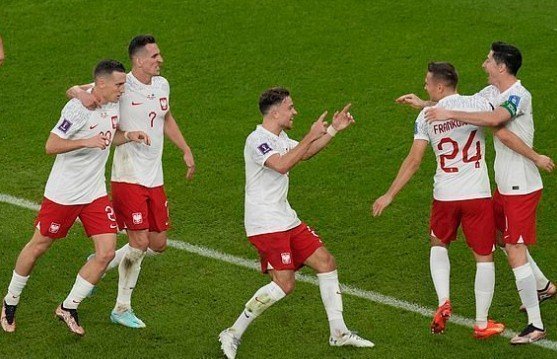 pol 1-0 g