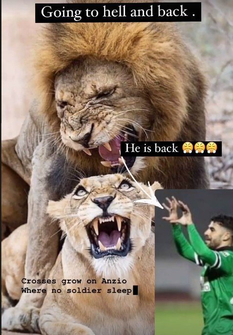 efwfcwe