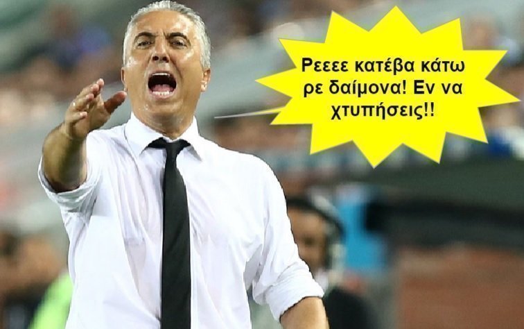 koastes