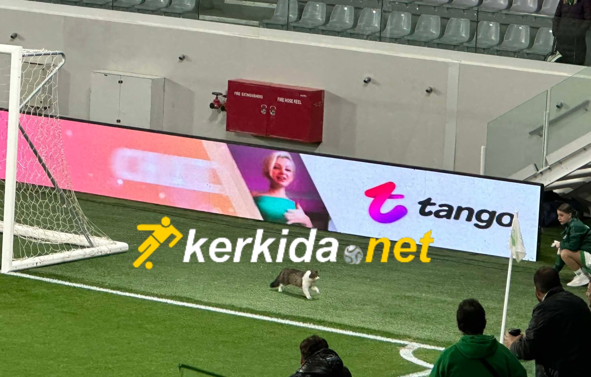 ΑΠΟΕΛ43