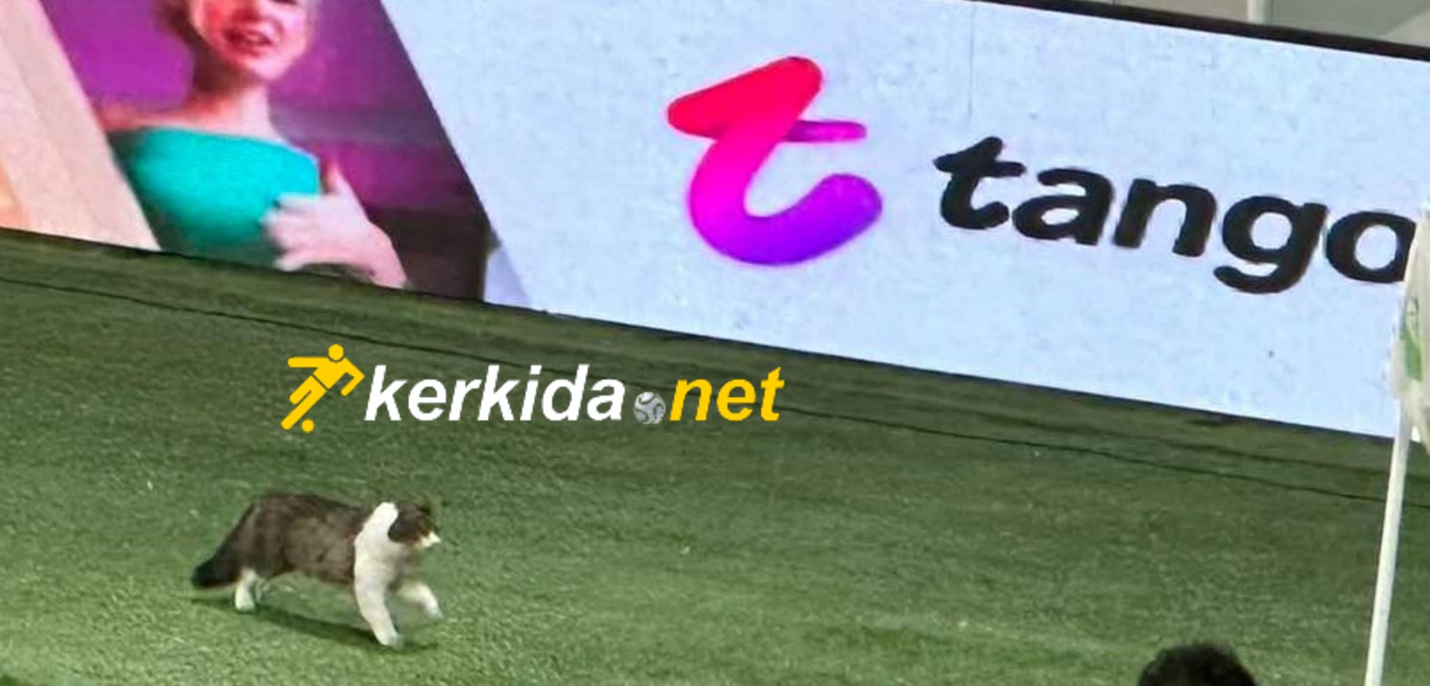 ΑΠΟΕΛ43