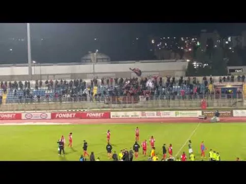 Πανηγυρισμοί Νέας Σαλαμίνας