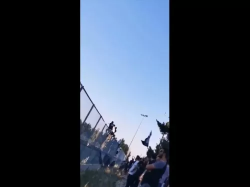 Οι Απολλωνίστες στο Κολόσσι