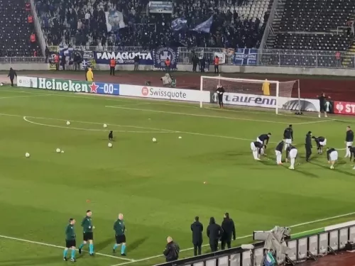 Το σκυλάκι στο Παρτιζάνα