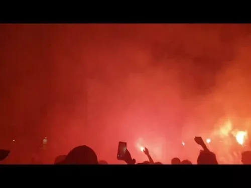 Πορτοκαλί Αρχάγγελο 5