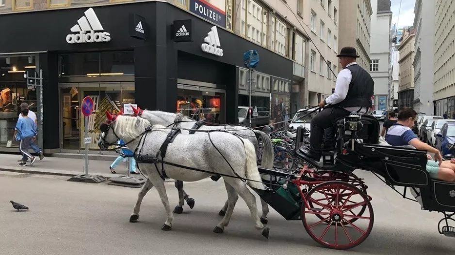 Απόλλων/Σκηνικό με άμαξες στη Βιέννη (βίντεο/φώτος)