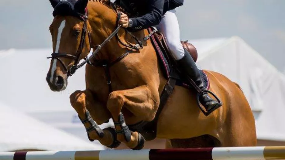 1ος Αγώνας Κυπέλλου Υπερπήδησης Εμποδίων 2019 