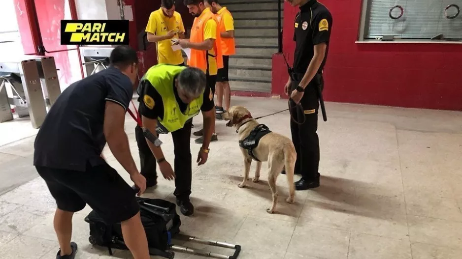 ΑΠΟΕΛ/Υποδοχή... με Labrador (φώτο)
