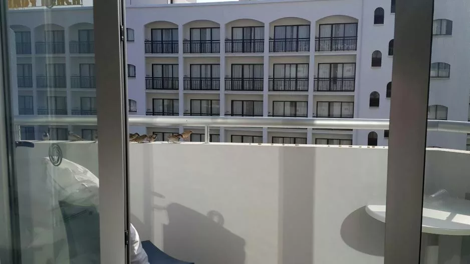 Μαρτυρίες επαναπατρισθέντων: Ανασφάλεια, φόβος, αγωνία, ανησυχία