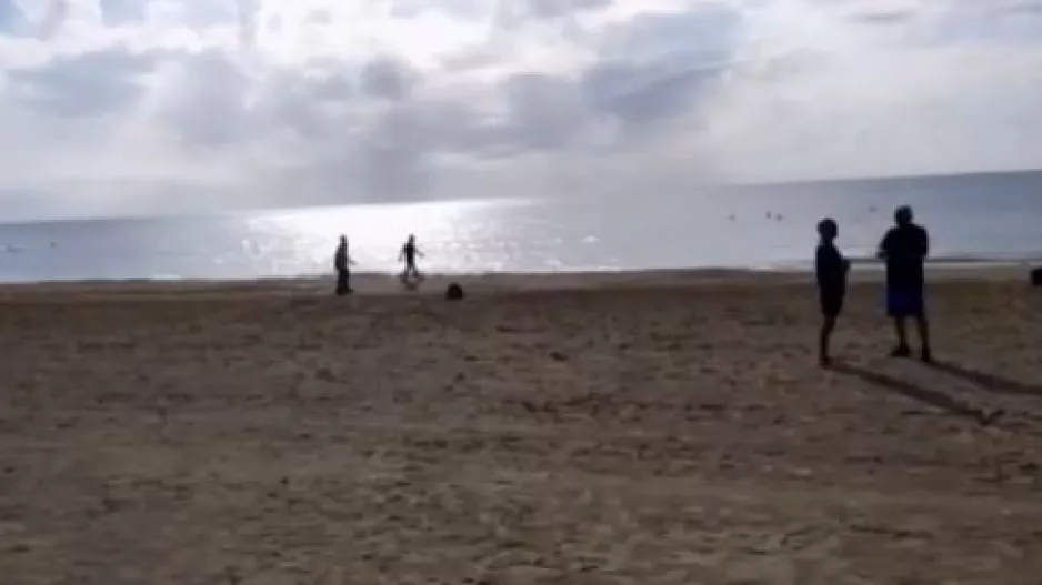 Κινητικότητα στο Μακένζι 