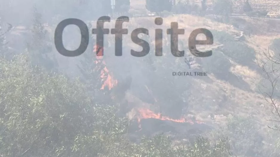 Φωτιά στην Επαρχία Λευκωσίας (φώτος/βίντεο)