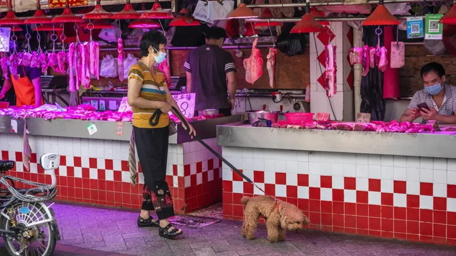 Η Ουχάν απαγορεύει την κατανάλωση άγριων ζώων!