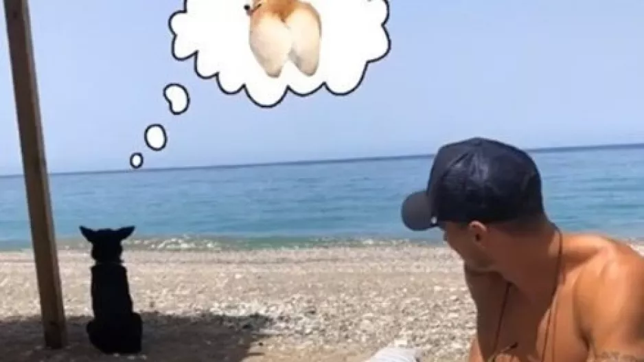 Παραλία με το σκυλί 