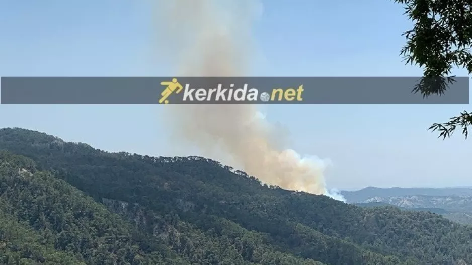 (UPD) Υπό πλήρη έλεγχο η πυρκαγιά μεταξύ Πλατρών και Τροόδους