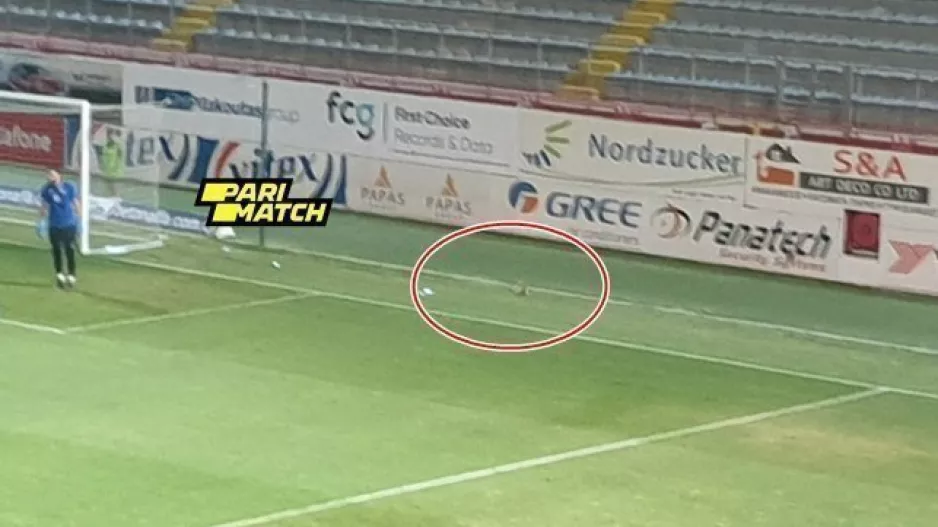 Απρόσμενος... επισκέπτης στο "Αμμόχωστος" (φώτο)