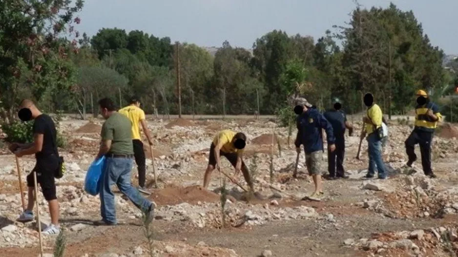 Ενημέρωση για δεντροφύτευση και... εγκληματίες