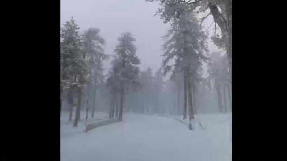 Πυκνή χιονόπτωση σε Τρόοδος και Πλάτρες (βίντεο)