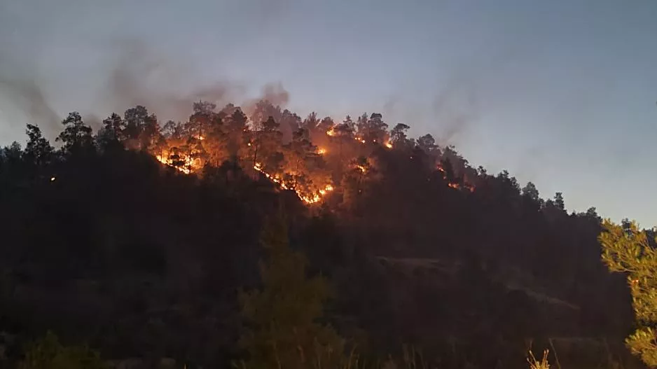 (ΝΕΟΤΕΡΟ) Υπό μερικό έλεγχο η πυρκαγιά - Συνεχίζεται η μεγάλη μάχη