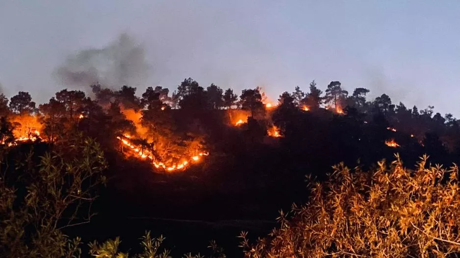 Ολονύχτια η μάχη με τις φλόγες/Τεράστιων διαστάσεων η πυρκαγιά