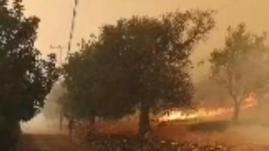 Διευθυντής Τμήματος Δασών: "Ακατόρθωτη η κατάσβεση φωτιάς" 