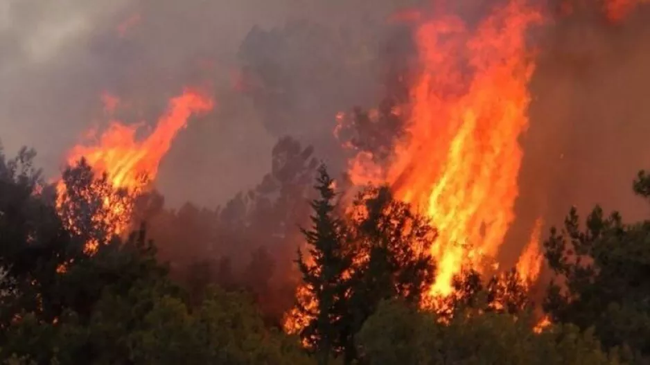  Η χειρότερη πυρκαγιά στην Κύπρο