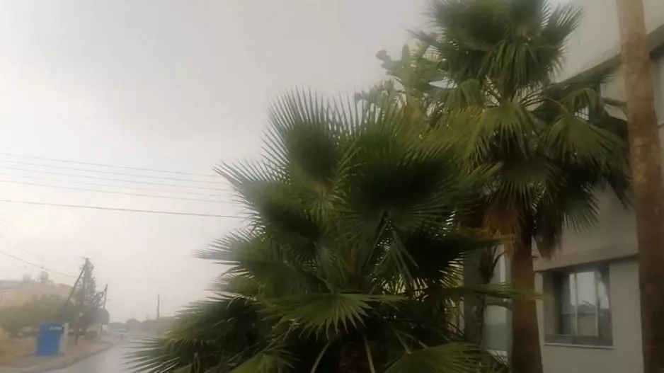 Λευκωσία: Πλημύρισαν δρόμοι - Έπεσαν δέντρα
