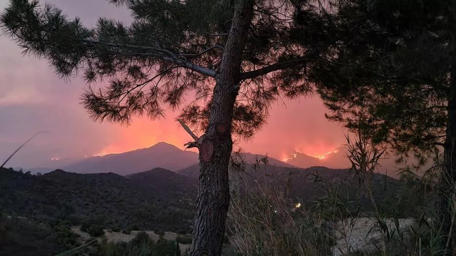 Σχέδιο για τους πληγέντες από την πυρκαγιά
