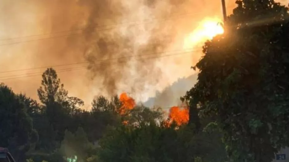 Υπό πλήρη έλεγχο η φωτιά στην Τριμίκλινη