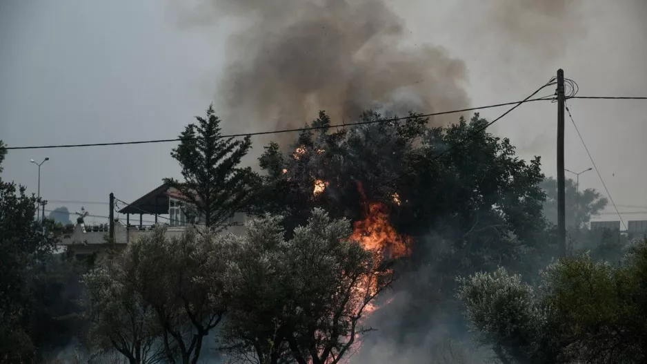 ΠΑΟΚ και Άρης έστειλαν μήνυμα στήριξης προς τους πυρόπληκτους