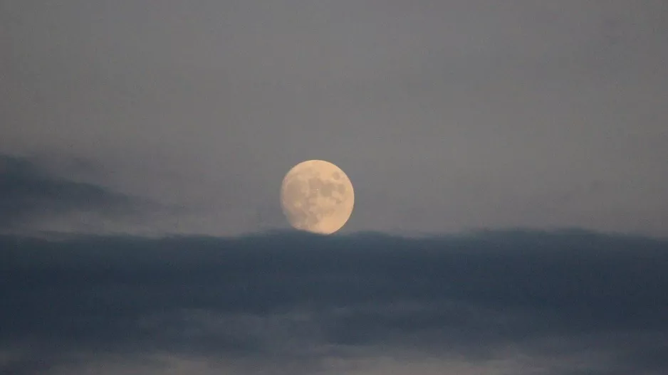 Εκπληκτική ΦΩΤΟ!