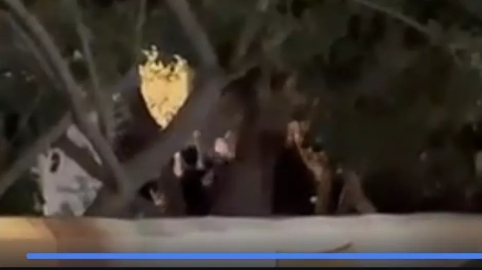 Πορτοκαλί/ Τραγούδι... έξω απ' το κλειστό! (Βίντεο)