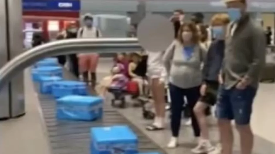 Xαμός σε πτήση από Κύπρο: Αντί αποσκευές, οι επιβάτες πήραν ψάρια