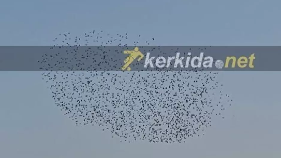 Επίθεση... από αέρος!