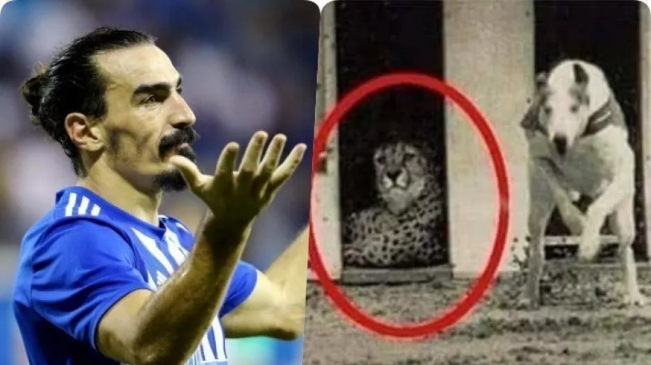 "Μπηχτή" από Λάζαρο/Με τσιτάχ και σκύλους
