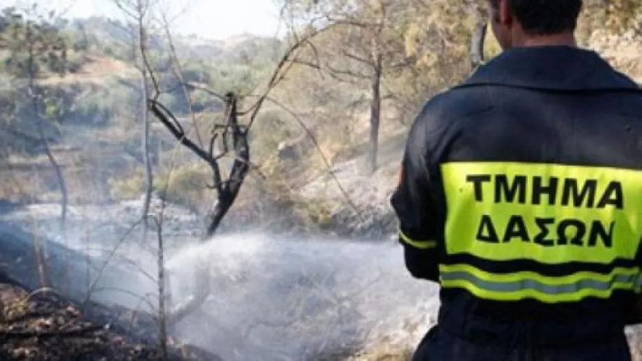 Υπό έλεγχο η πυρκαγιά στον Άγιο Θωμά στα Λεύκαρα