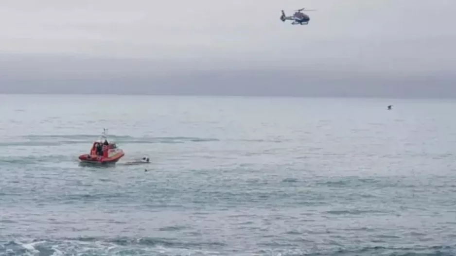 Τραγικό δυστύχημα στη Νέα Ζηλανδία: Σκάφος προσέκρουσε σε φάλαινα