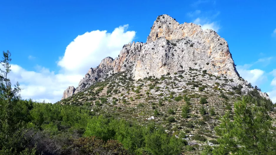 ΨΕΥΤΟμερα